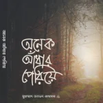 অনেক আঁধার পেরিয়ে - সত্যায়ন প্রকাশন