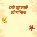 সেই ফুলেরই রৌশনিতে (সিরাত সিরিজ-৪) - দারুল ইলম