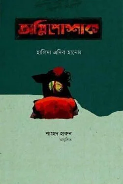 অগ্নিপোশাক
