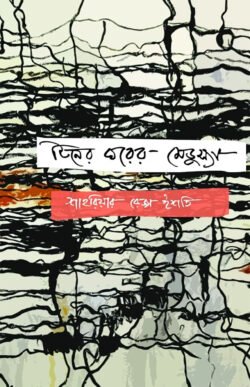 টিনের ঘরের মেড়ুস্যা