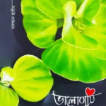 ভালোবাসি একটি কবিতার নাম